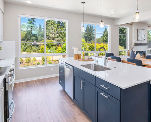 Statement Kitchen with Blue Cabinets